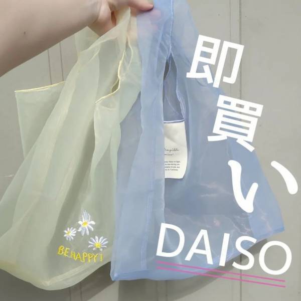 品薄目前！買うなら今！プチプラ【チュールバッグ】がインスタで話題沸騰中