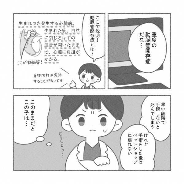 ペットショップから健康診断にやってきた子犬の運命は！？