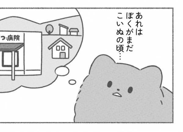 ペットショップから健康診断にやってきた子犬の運命は！？