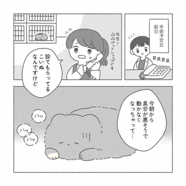 ペットショップから健康診断にやってきた子犬の運命は！？