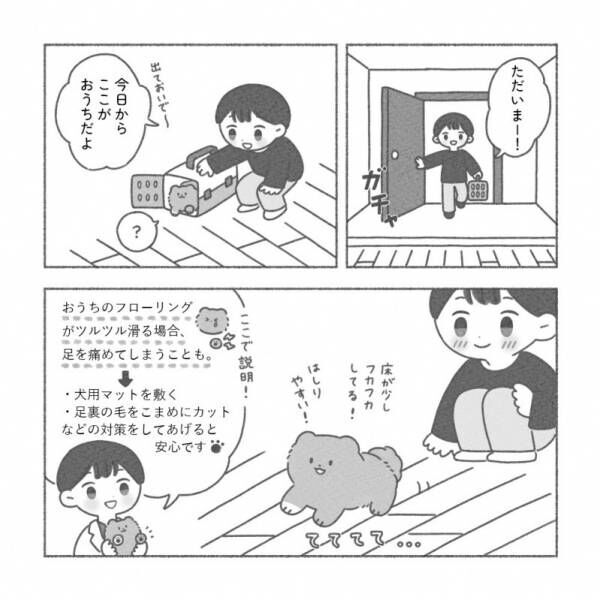 手術前日に容体の急変の子犬…これからどうなっちゃうの！？