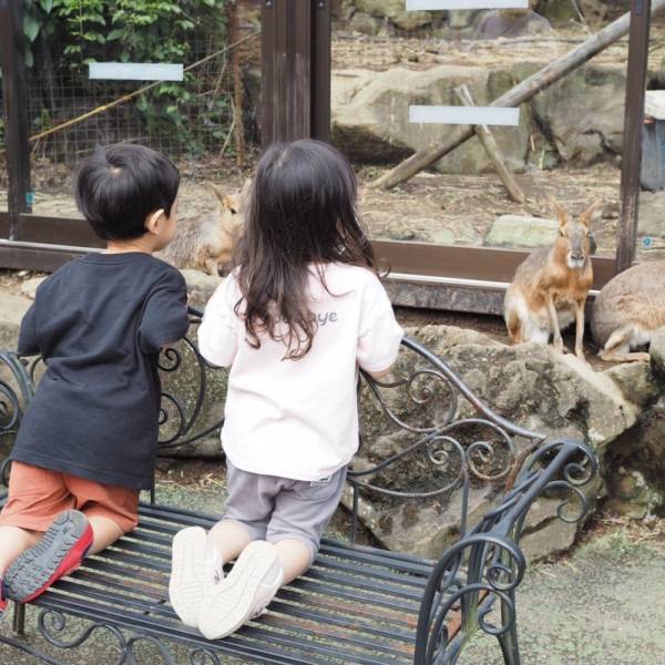 当たり前すぎる言葉【ママ友】について考えてみた