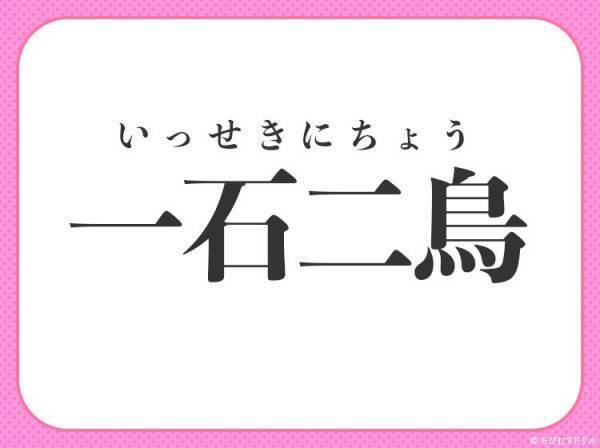 【一つの石を投げて二羽の鳥をしとめる】四字熟語とは？