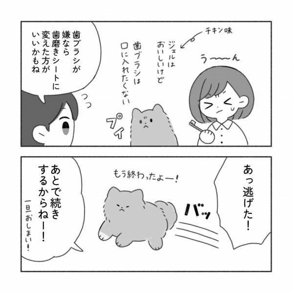 何が必要？【こいぬを迎える準備】マンガでまるわかり！
