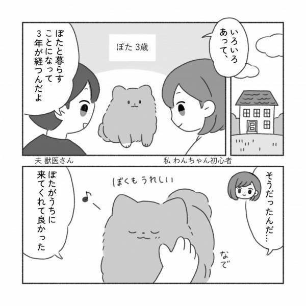何が必要？【こいぬを迎える準備】マンガでまるわかり！