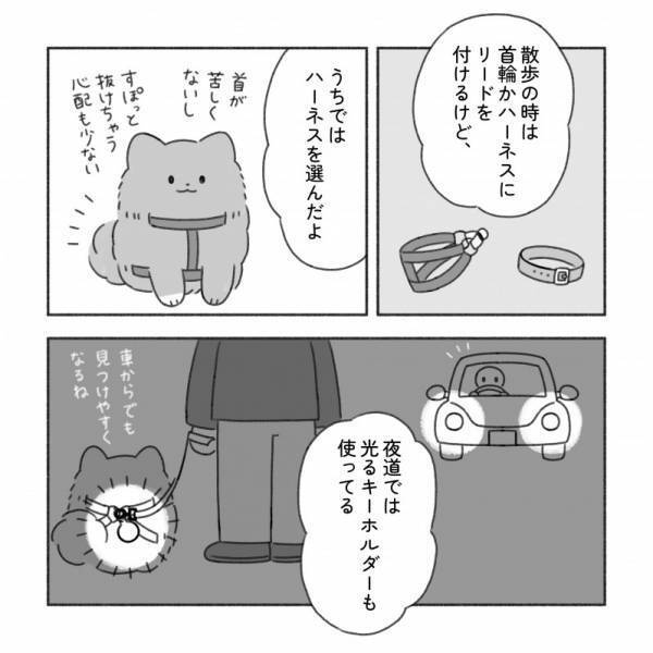 何が必要？【こいぬを迎える準備】マンガでまるわかり！