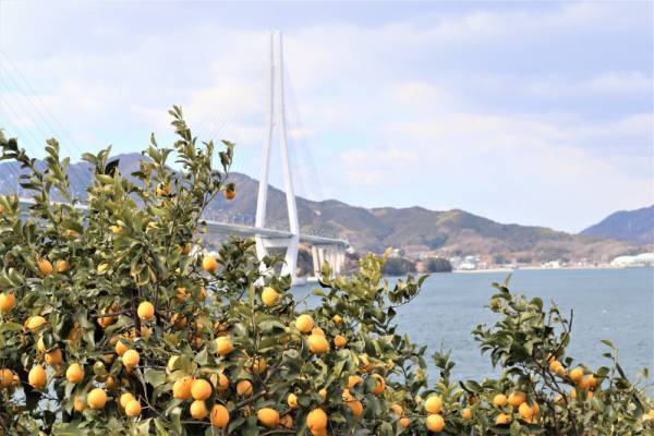 10日間で約1万5千個も売れている【成城石井】の人気商品って？！