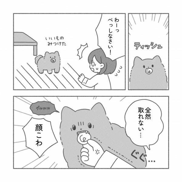 【お見事】誤食しかけた犬に獣医師が神業で対応！怒ると逆効果な理由は？