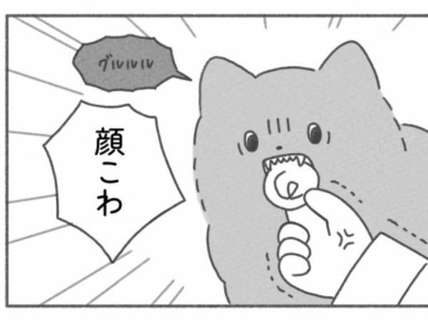 【お見事】誤食しかけた犬に獣医師が神業で対応！怒ると逆効果な理由は？