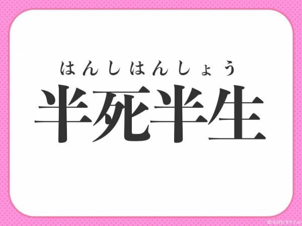 半ば死にかけ状態 小学生で習う この四字熟語は何 22年7月1日 ウーマンエキサイト