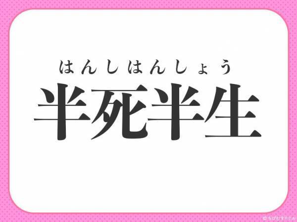 【半ば死にかけ状態！？】小学生で習う、この四字熟語は何？