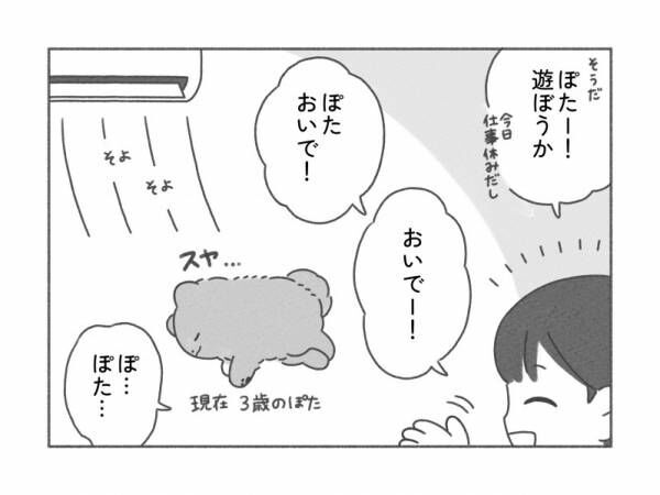 【なぜ？！】呼んでも来ない愛犬…その理由は？真夏の散歩の注意点も！