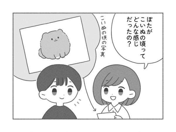 【なぜ？！】呼んでも来ない愛犬…その理由は？真夏の散歩の注意点も！