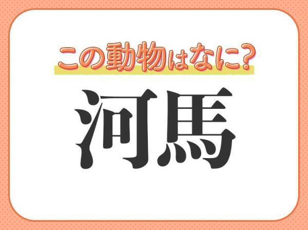 【河馬】はなんて読む？河にいますが馬ではありません！
