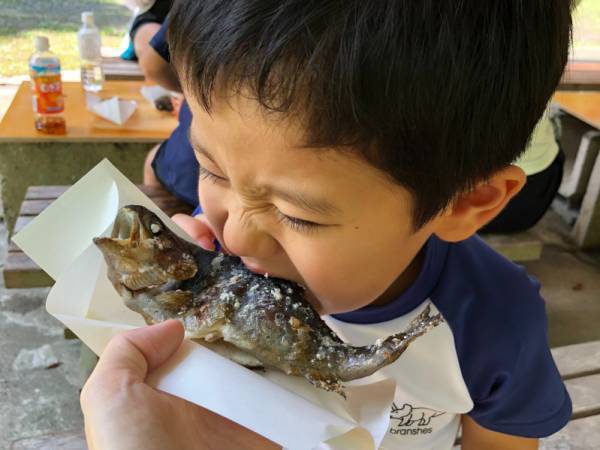 夏休み到来！単調な毎日の食事…夏の食育どうする？
