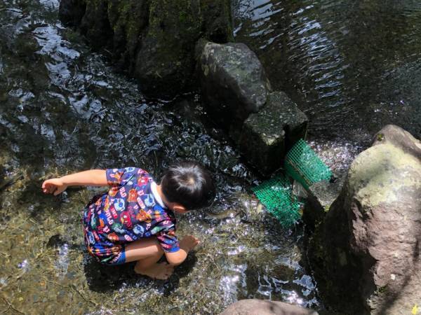 夏休み到来！単調な毎日の食事…夏の食育どうする？