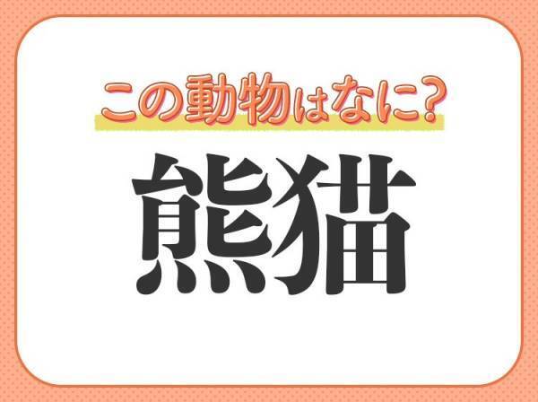 【熊猫】はなんて読む？動物園の大スター！