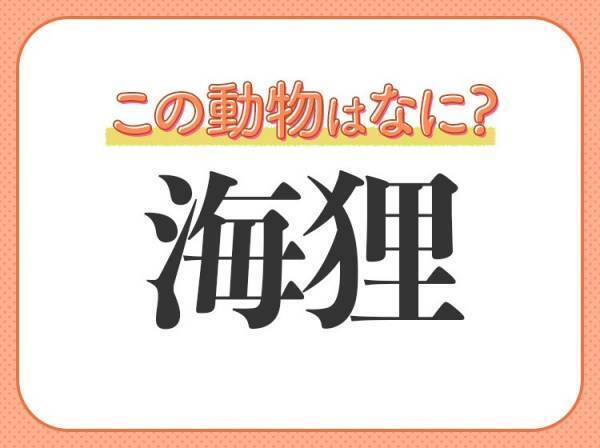 【海狸】はなんて読む？特徴はズバリ、歯です！