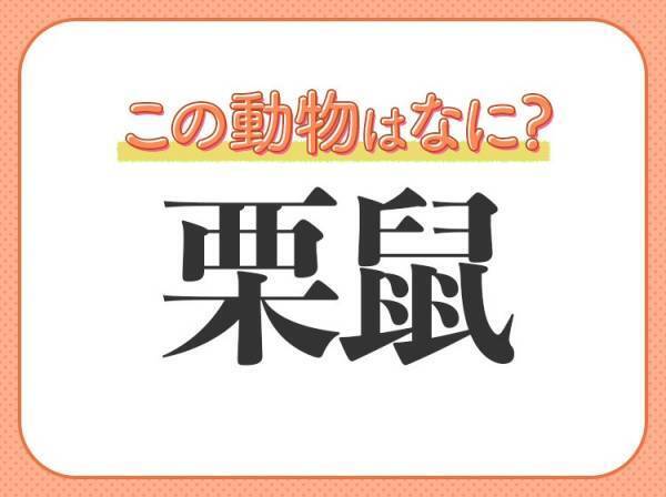 【栗鼠】はなんて読む？森の小動物といえば…？