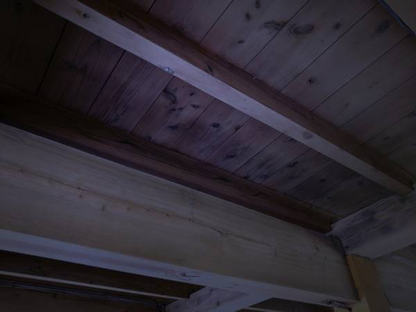 【恐怖体験】天井に笑顔で手を振る娘「バイバイしてくれたね」一体そこにいたのは…