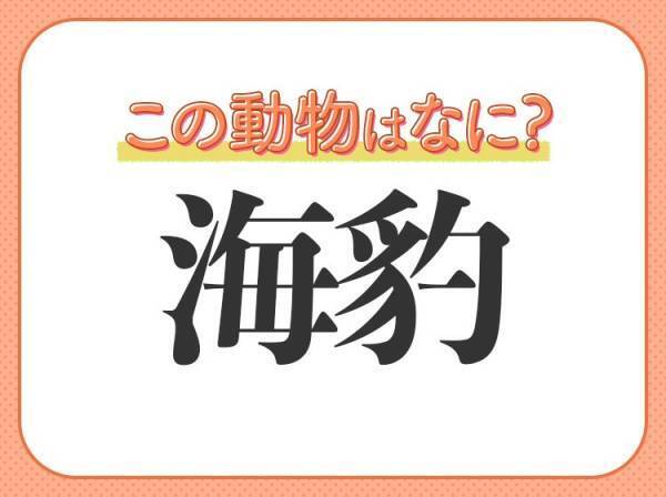 【海豹】はなんて読む？見れば癒される海のアイドル♡