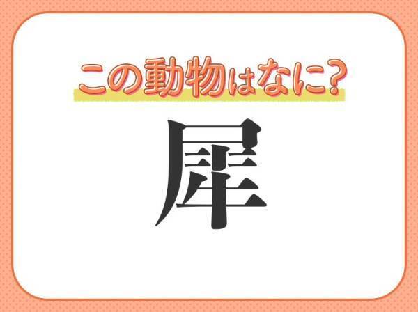 【犀】はなんて読む？立派なツノを持っている動物の名前！