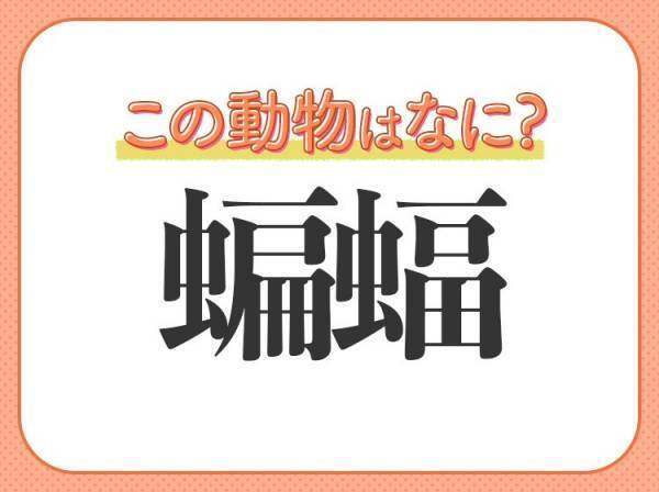 【蝙蝠】はなんて読む？洞窟のイメージがあるといえば…？