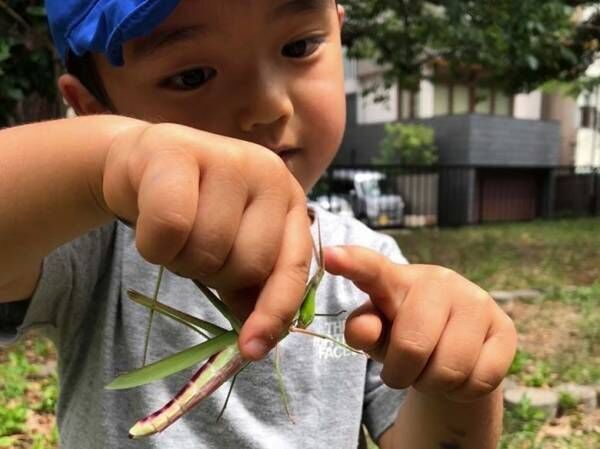 【大阪ワーママ】虫捕りとプールと宿題に追われちゃってる！？