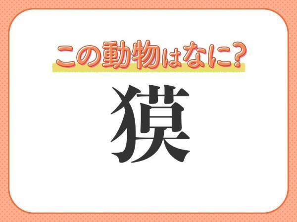 【獏】はなんて読む？鼻が伸びている哺乳類！