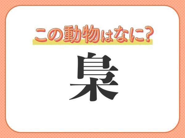 【梟】はなんて読む？魔法使いの映画に出てくる動物と言えば…？