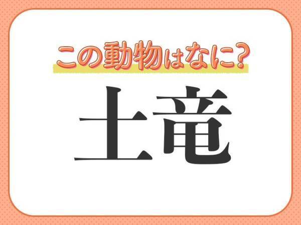 【土竜】はなんて読む？トンネルを掘って移動するあの動物！