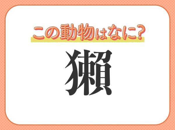 【獺】はなんて読む？空前のブームになっているキュートな哺乳類の名前♡