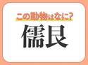 【儒艮】はなんて読む？人魚に関連する海の動物の名前！
