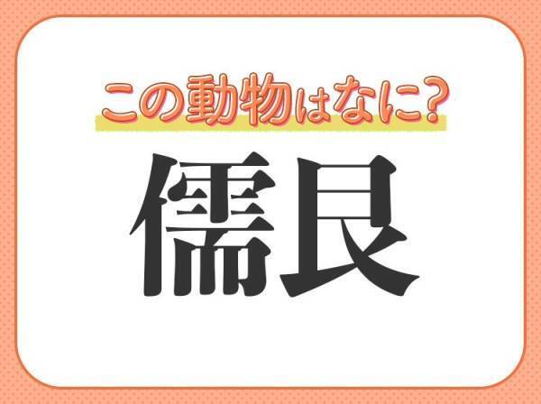 【儒艮】はなんて読む？人魚に関連する海の動物の名前！