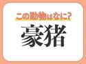 【豪猪】はなんて読む？針のような鋭い毛が特徴の動物！