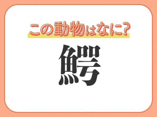 【鰐】はなんて読む？魚じゃなくて爬虫類の名前です！
