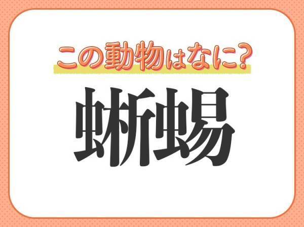 【蜥蜴】はなんて読む？逃げ方がインパクトありすぎな爬虫類の名前！