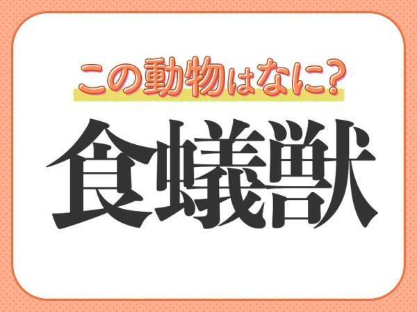 【食蟻獣】はなんて読む？口先が特徴的な哺乳類の名前！