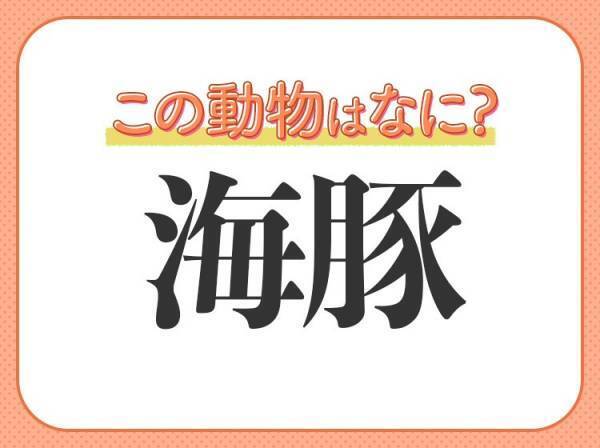 【海豚】はなんて読む？水族館の大スター！