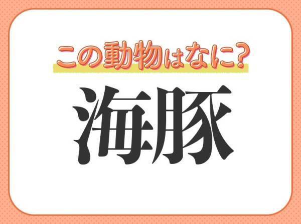 【海豚】はなんて読む？水族館の大スター！