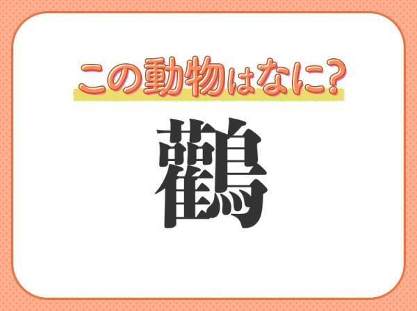 【鸛】はなんて読む？幸せを運ぶ鳥といえば…？
