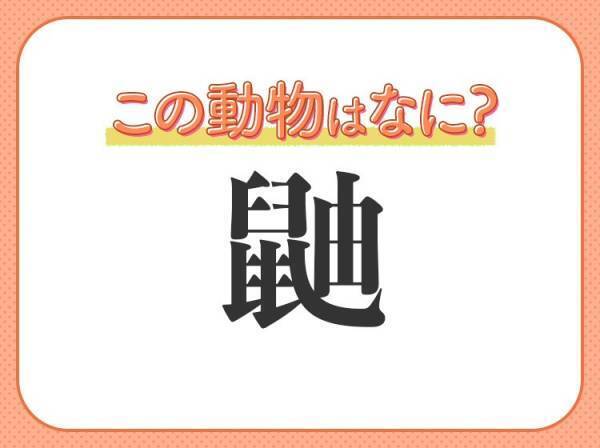 【鼬】はなんて読む？キュートな茶色の哺乳類♡