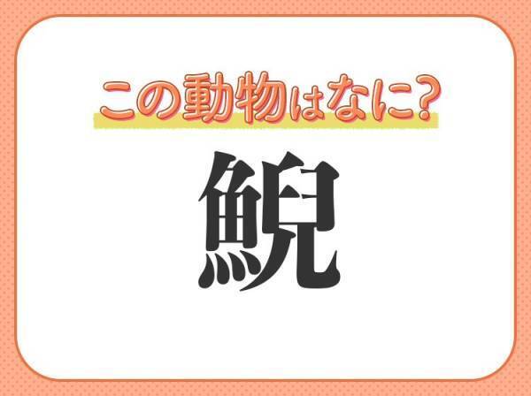 【鯢】はなんて読む？イモリに似ている両生類！