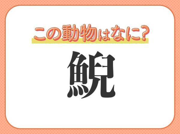 【鯢】はなんて読む？イモリに似ている両生類！