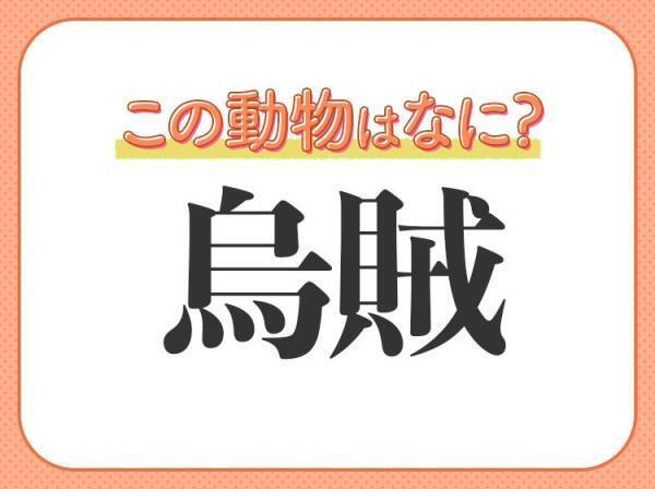 【烏賊】はなんて読む？とんがり頭の海の生き物！