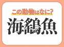 【海鷂魚】はなんて読む？ヒラヒラ泳ぐ魚類です！
