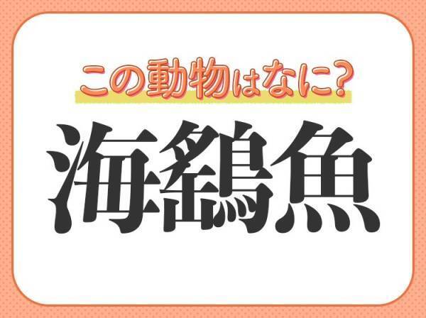 【海鷂魚】はなんて読む？ヒラヒラ泳ぐ魚類です！