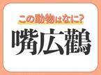 【嘴広鸛】はなんて読む？直立不動の人気者！