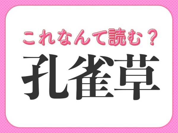 【孔雀草】はなんて読む？「くじゃくそう」ではない読み方！