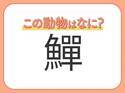 【鱓】はなんて読む？くねくねと泳ぐ海の動物！